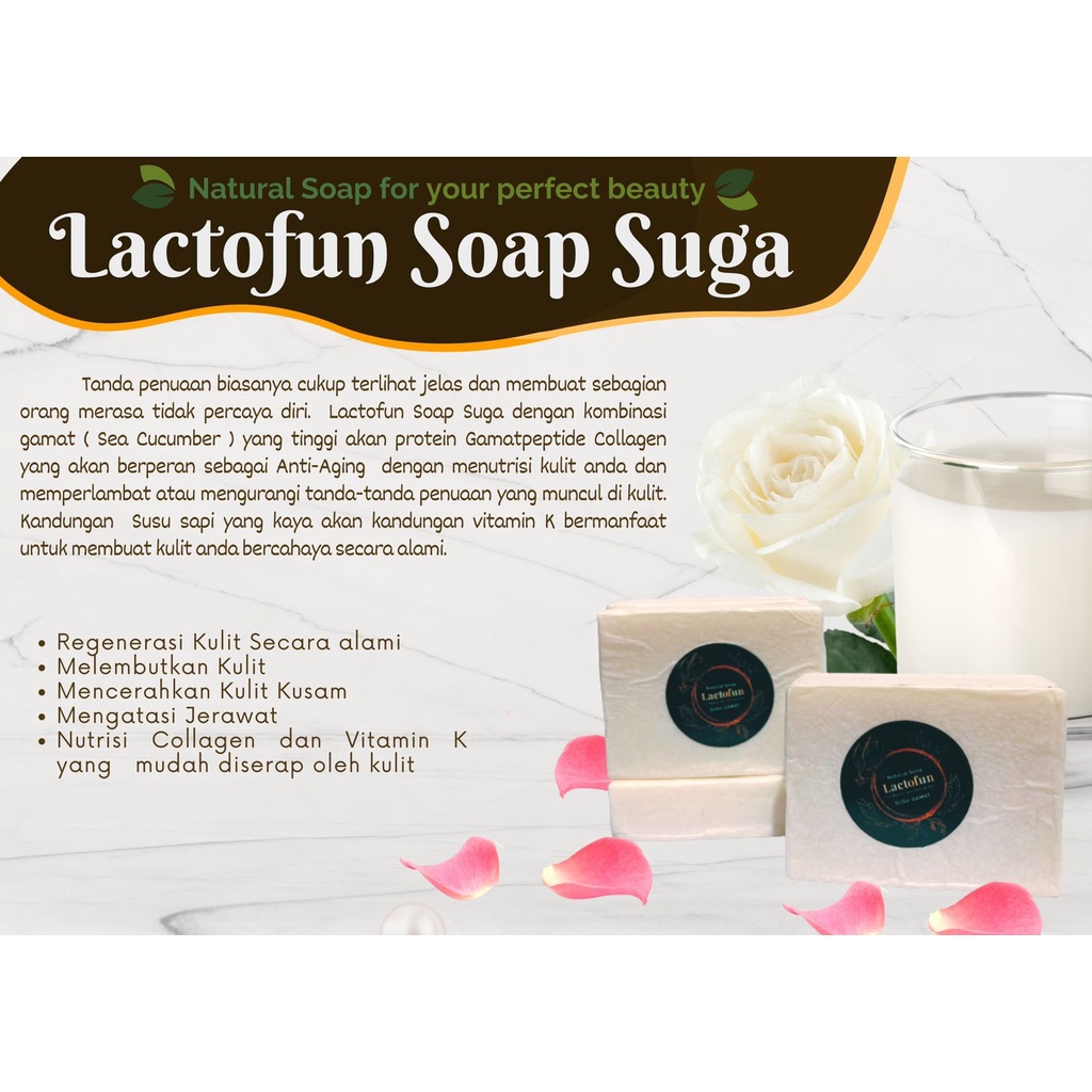 Natural Soap Lactofun Sabun Probiotik Susu Gamat Penghilang Jerawat Pencerah Pelembab Kulit Cuci Muka Wajah