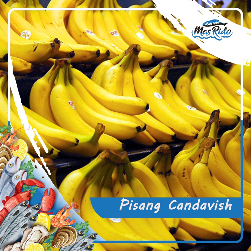 

Pisang Cavendish Sunpride Manis Segar Fresh Kwalitas Super Harga Murah