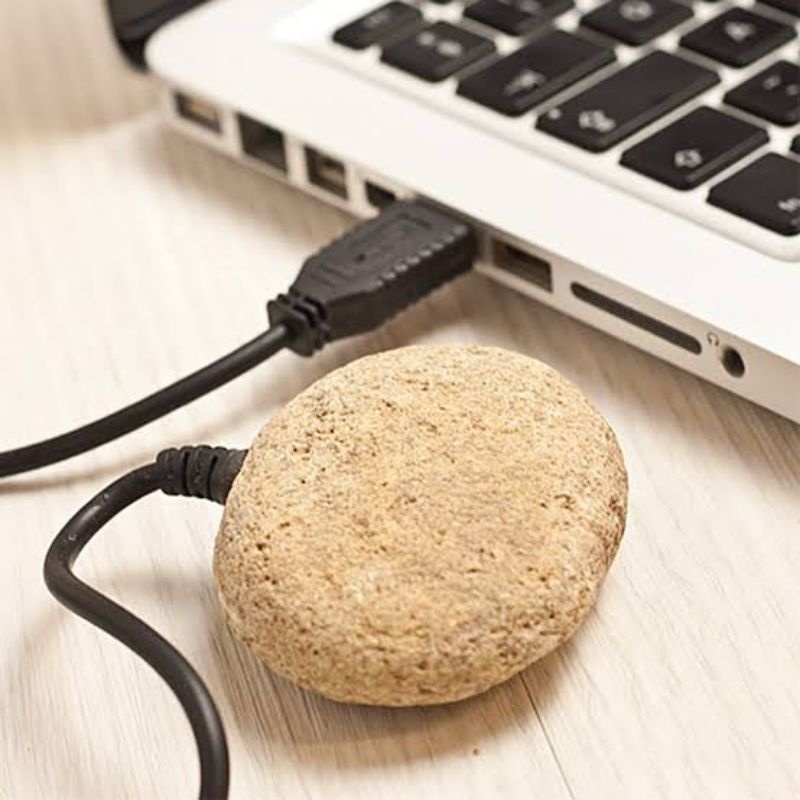 USB Pet Rock