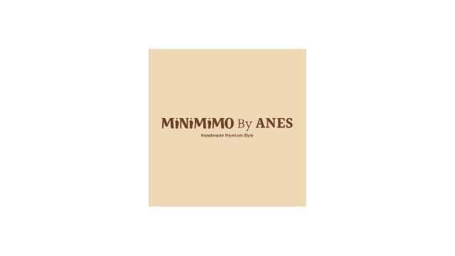 MiNiMiMO By ANES