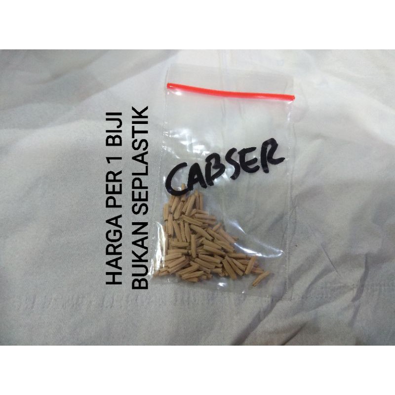 SEBUTIR Biji Adenium CABSER - Cabang Seribu