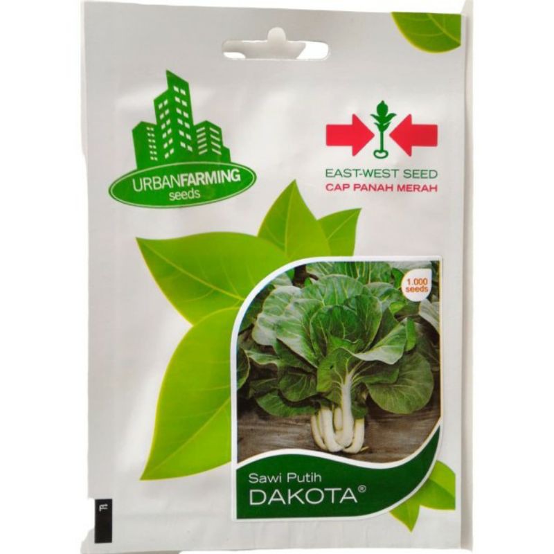 Jual Benih Sawi Dakota Pakcoy Putih Urban Farming Panah Merah