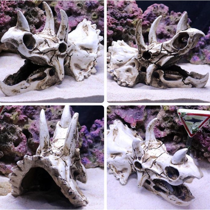 Triceratops Tengkorak Hiasan Akuarium Fosil Dekorasi Ornamen Aquarium