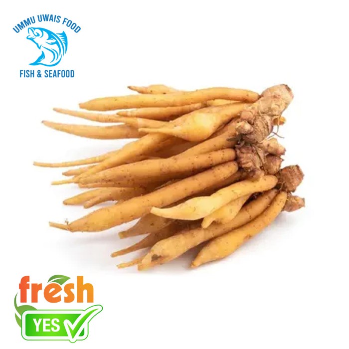 

Temu Kunci Rempah - 100 Gram