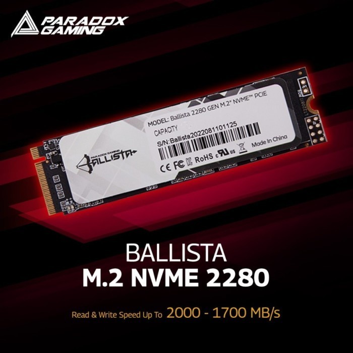 SSD NVMe 256GB Paradox Gaming Ballista M.2 2280 PCIe Gen3 x4