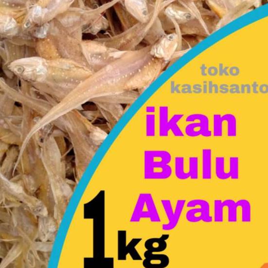 

◘ Ikan asin bulu ayam super-1kg ♟