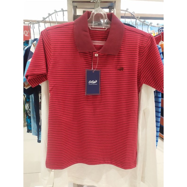 Kaos polo crocodile junior