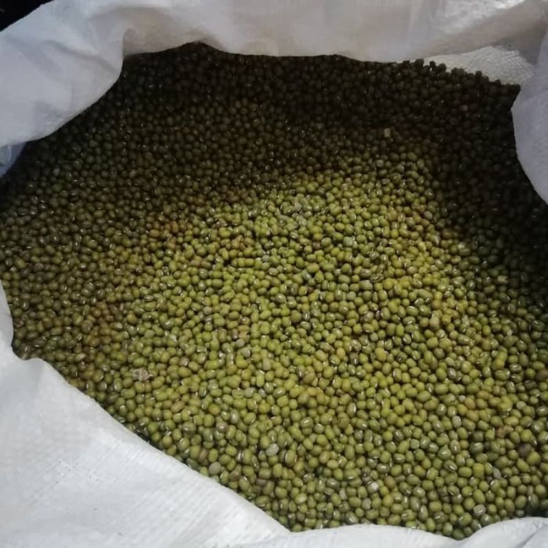 

KACANG HIJAU SUPER ASLI MADURA