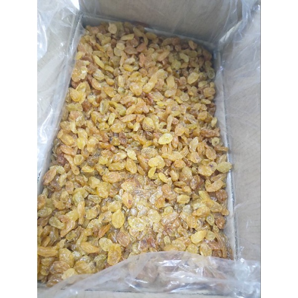 Kismis Golden raisin 10kg // kismis asem manis 10kg GROSIR