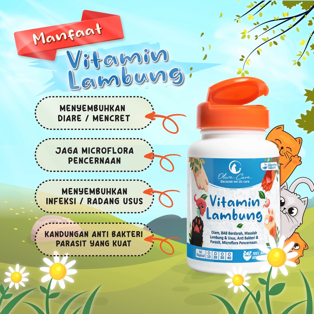 OLIVE CARE Vitamin Kucing LAMBUNG - MASALAH PENCERNAAN untuk Diare, Mencret, Pup Berdarah dan Radang Usus