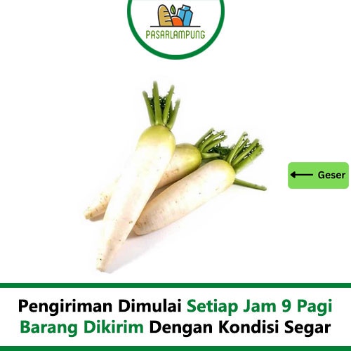 

Lobak Putih Pasar Lampung