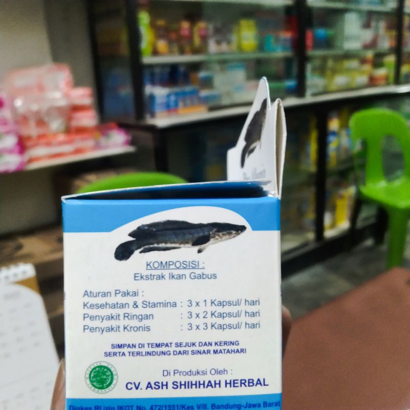 pro albumin(minyak ikan gabus)