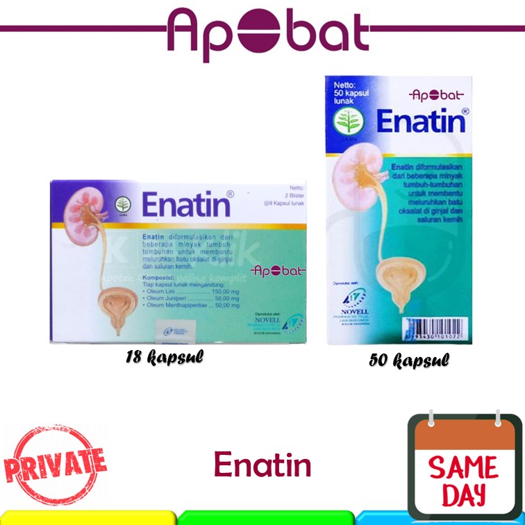 - ApObat - Enatin 18 / 50 Kapsul Batu Ginjal Nephrolit Kejibeling