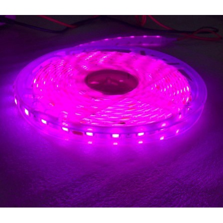 Lampu lamp Led Strip Fleksibel Roll 5. Led 3528 24 Volt