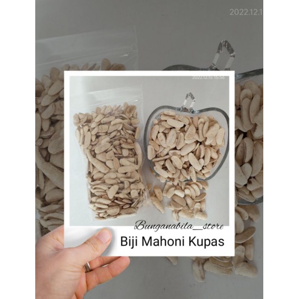 

Biji Mahoni Kupas 50gr
