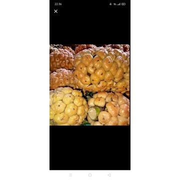 

Asam Cikala 250gr