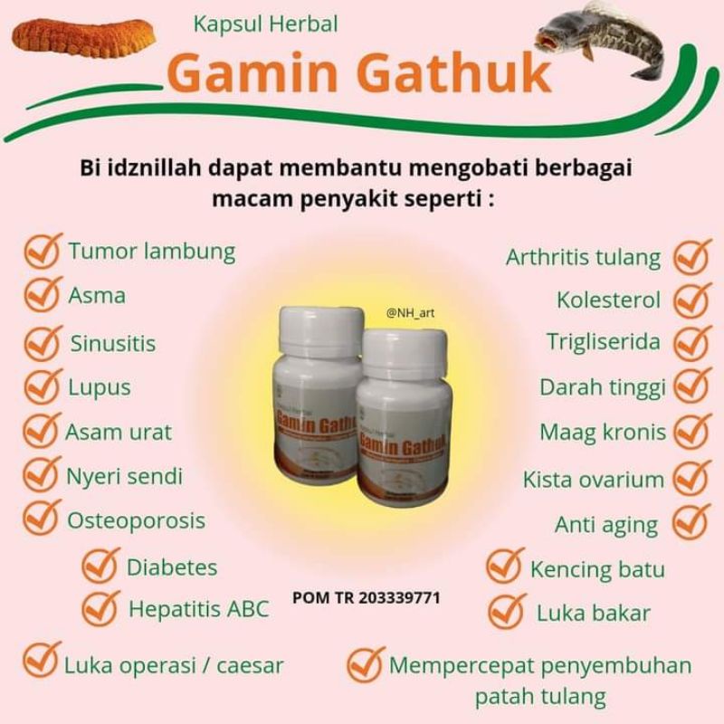 Gamin Gathuk Kapsul Herbal