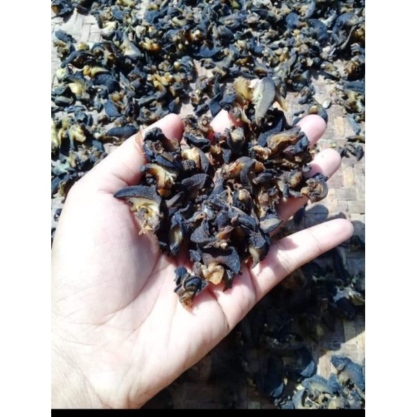 

KRECEK BEKICOT MBAH MO ( DAGING BEKICOT KERING)