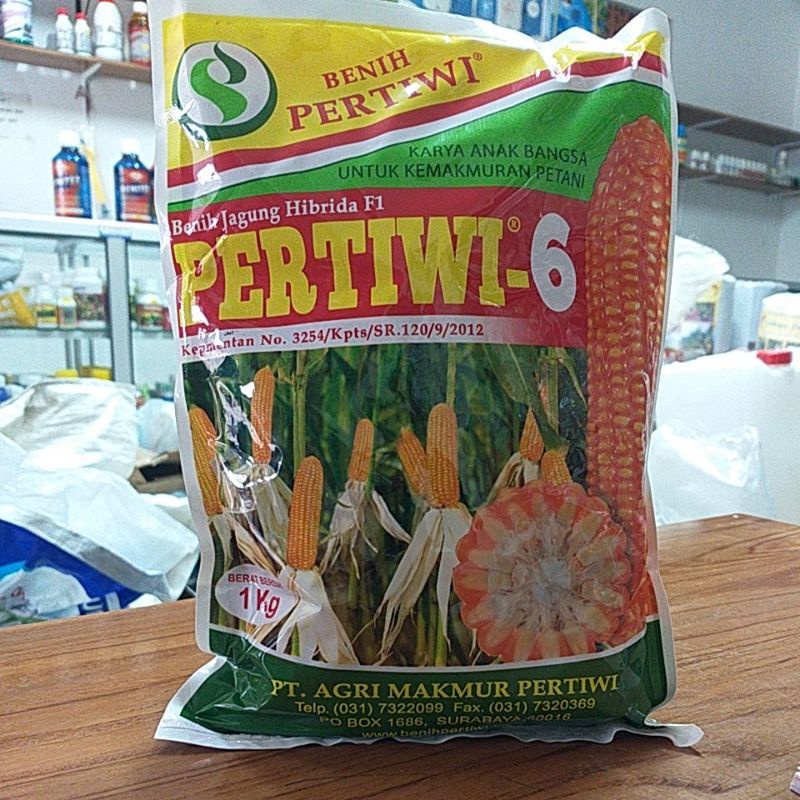 Benih jagung hibrida Pertiwi 6