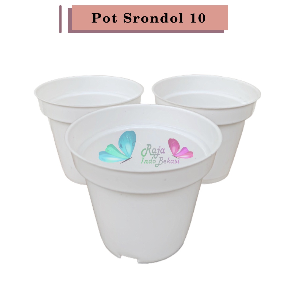 Pot 10 Putih - Pot Bulat Mini Plastik Kecil Bisa Untuk Vas Bunga Kaktus Sukulen Pot Bunga 10 cm Putih Polos