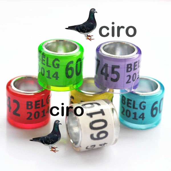 20 pcs ring merpati no seri dan tahun ring burung merpati ring import merpati ring burung dara 8 mm