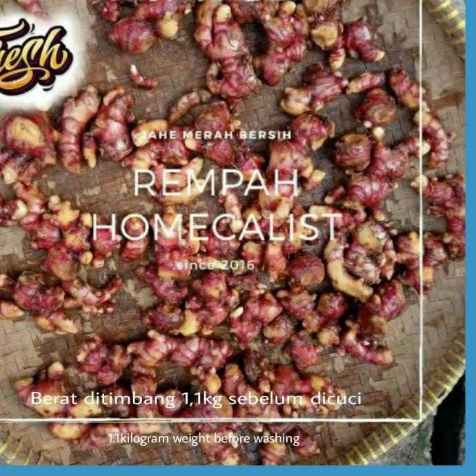 

℗ Jahe Merah Bersih 1kg dicuci dadakan / jahe merah segar / Jahe Merah Asli / Jahe Merah Fresh ☄