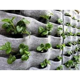 WALL PLANTER 36 KANTONG KANTUNG BESAR VETIKAL VERTICAL GARDEN /POT DINDING