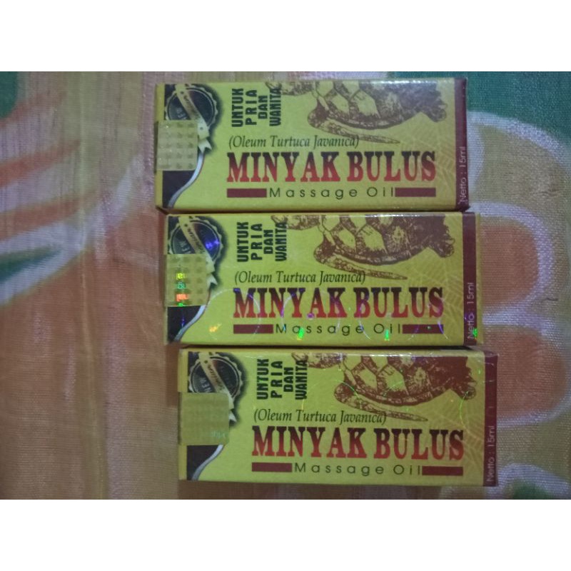 Minyak Bulus Murni Sehat Sentosa