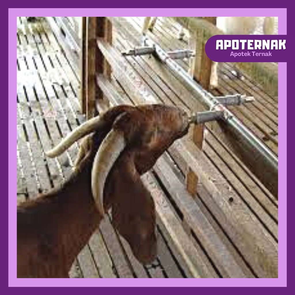 NIPPLE DRINKER Type A2 | Niple Nipel Nepel Otomatis | Alat Minum otomatis Hewan Ternak Kambing Domba Babi