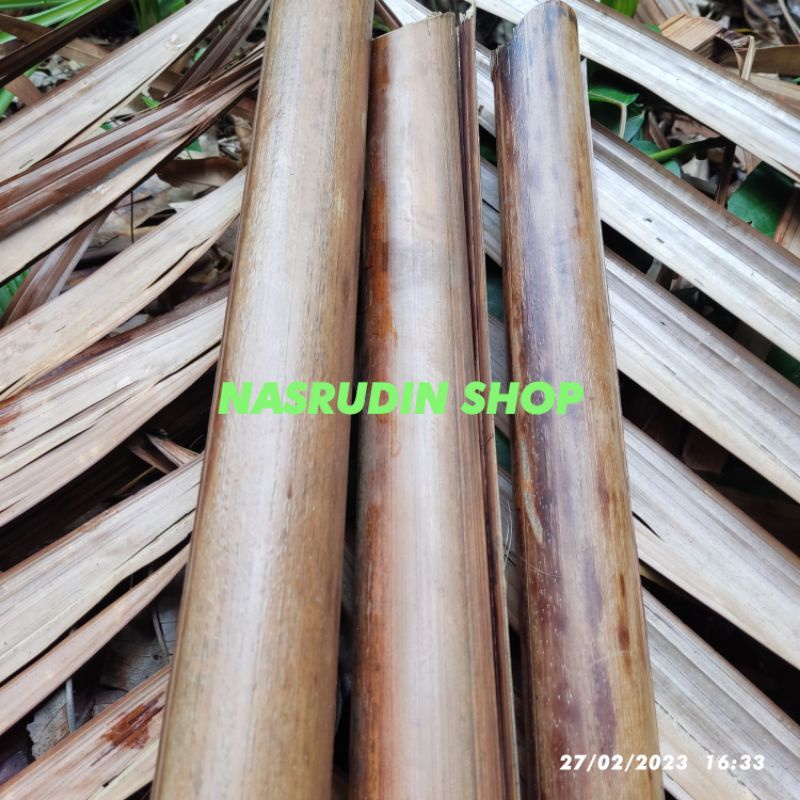 

[Fresh] PELEPAH SAGU / DAHAN RUMBIA UNTUK KERAJINAN / PELEPAH POHON SAGU / RUMBIA