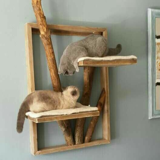 Terlaris Cat Room / Cat Playground
