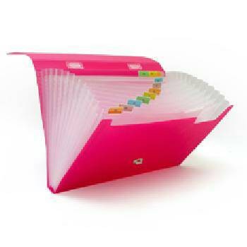 

Expanding Expandable File F4 Bantex 13Pocket Star Seller