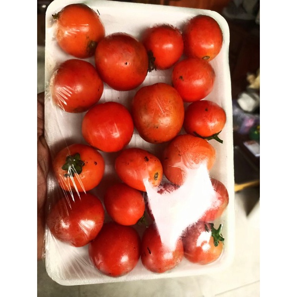 

Tomat Sayur Fresh