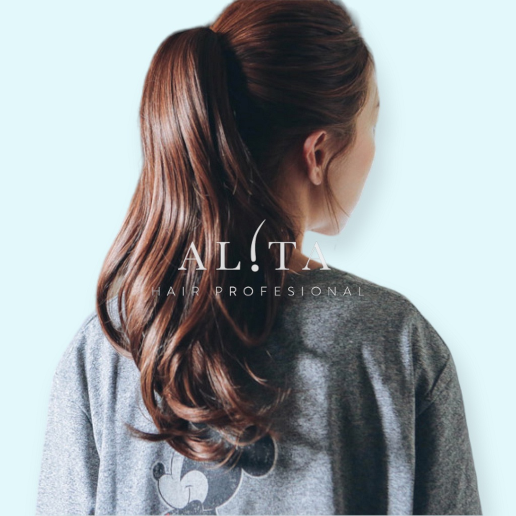 Ponytail Jepit Slim Korea 45cm Alita