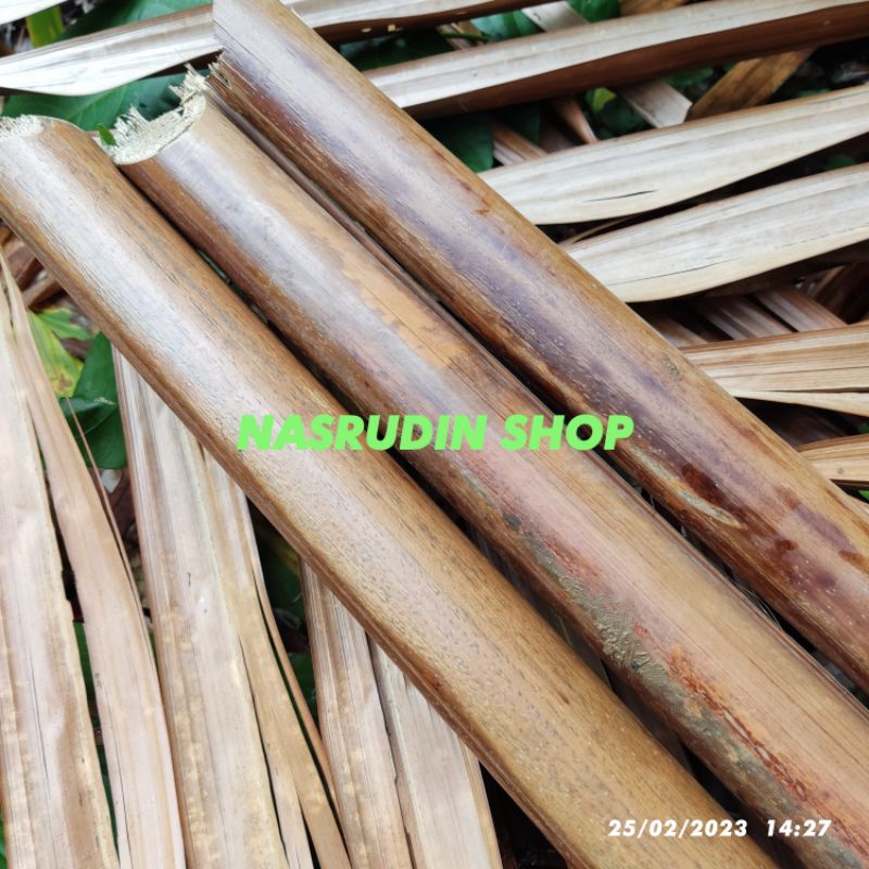 

[Fresh] PELEPAH POHON SAGU 1 METER / DAHAN BATANG POHON RUMBIA untuk kerajinan dan seni / batang