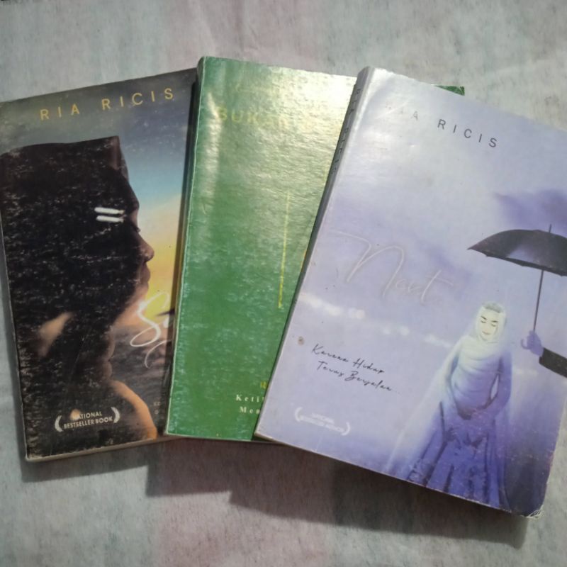 Bundling Novel Ria Ricis