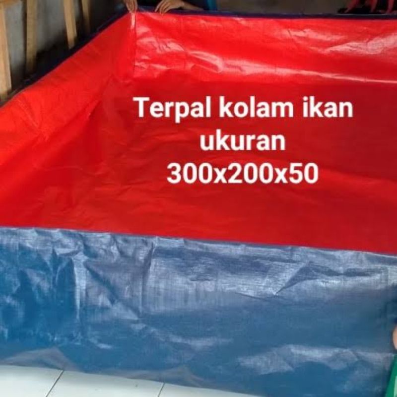 terpal kolam ikan 300x200x50 A12sakura