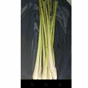 

SERAI/REMPAH,BUMBU,MASAK