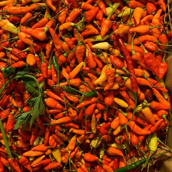 

Belanja Hore Cabe rawit segar