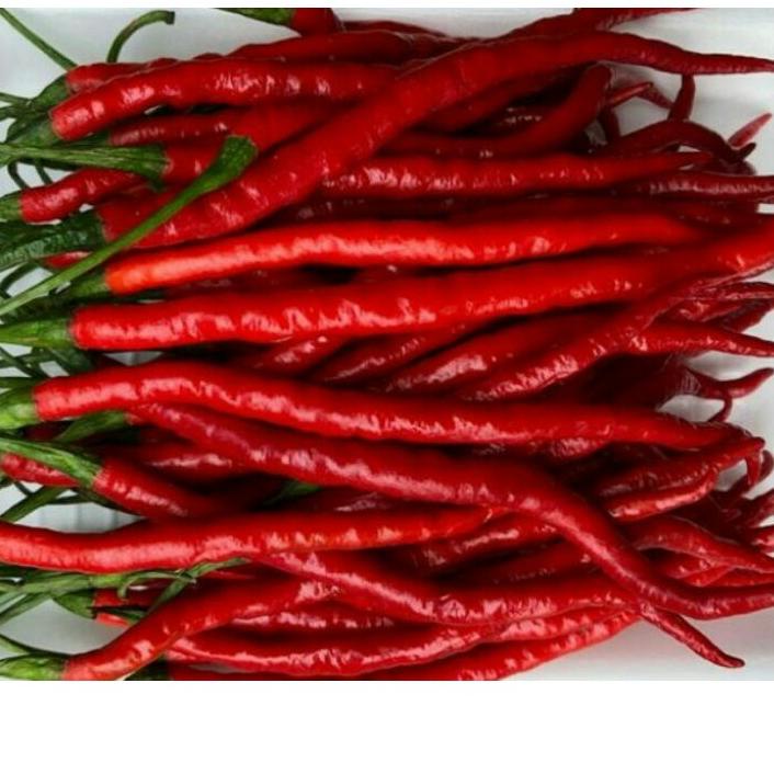 

✹ Cabe merah keriting 1 kg ☼