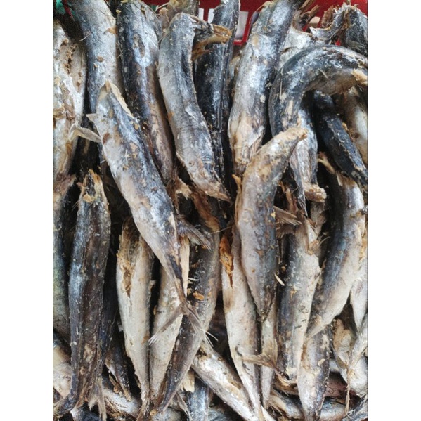 

Ikan asin tongkol rebus buang kepala 250gram