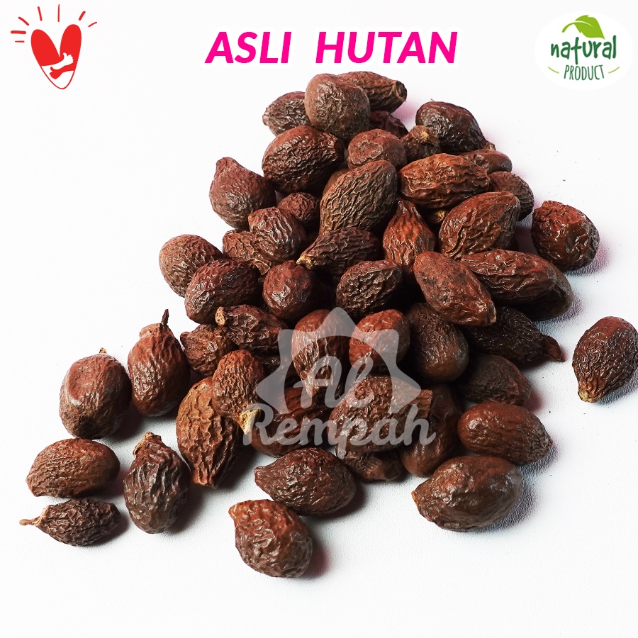 

Buah Tempayang / Kembang Semangkuk Kering 100g - Asli Sumatra