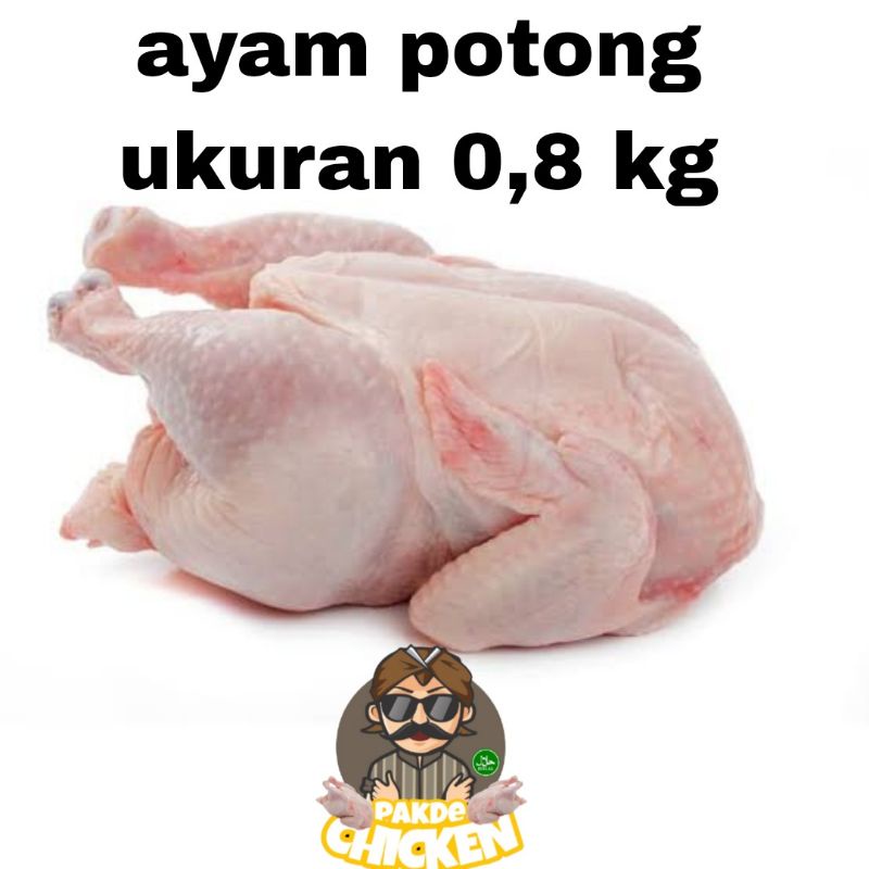 

Ayam potong uk. 0.8kg