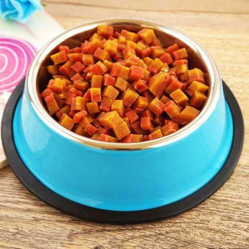 Tempat Makan Hewan Anti Slip Stainless Steel Pet Bowl 22 cm - WH201