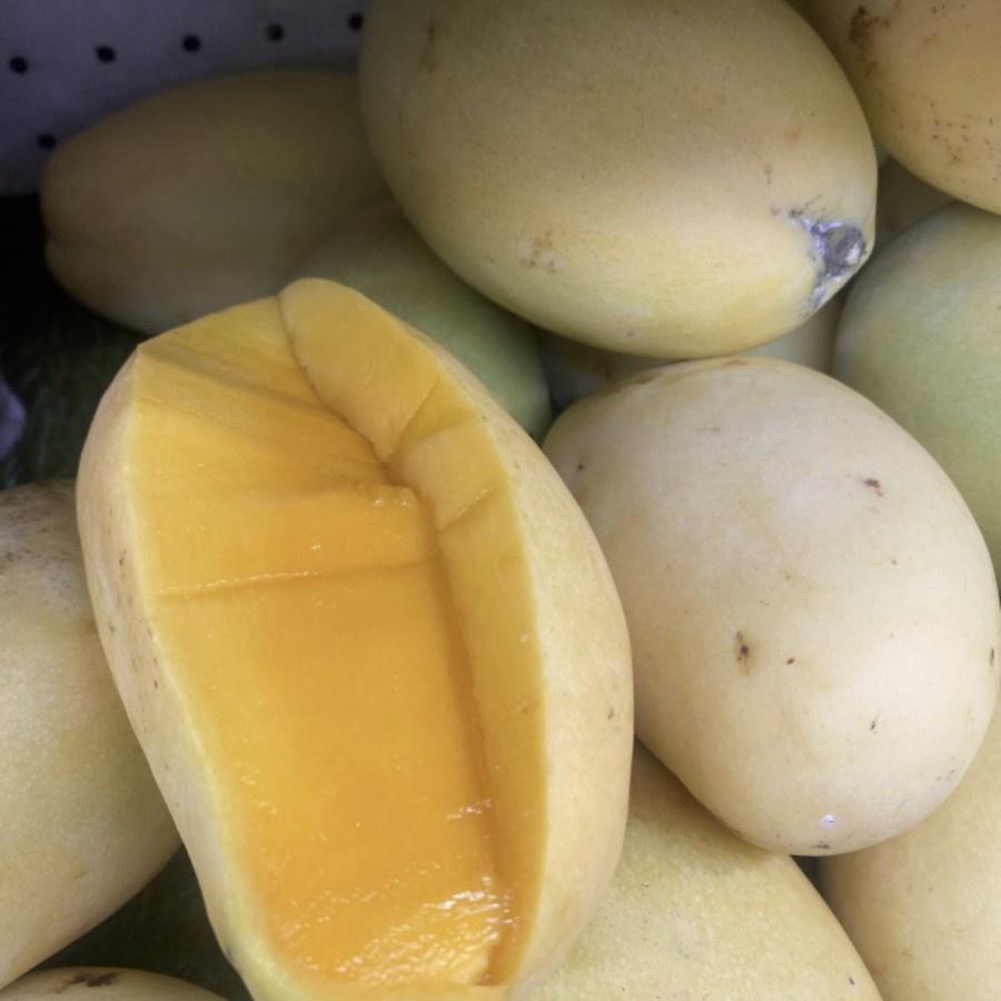 

Mangga Thailaind Dokmai Fresh 1 kg