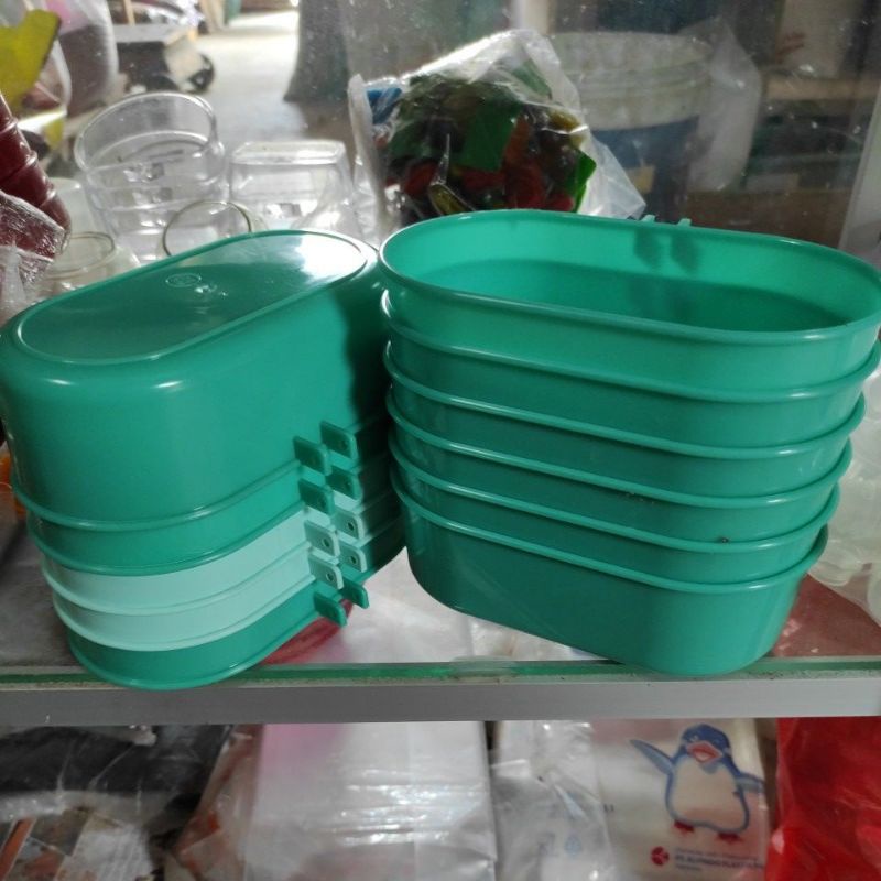 Cepuk mandi burung oval