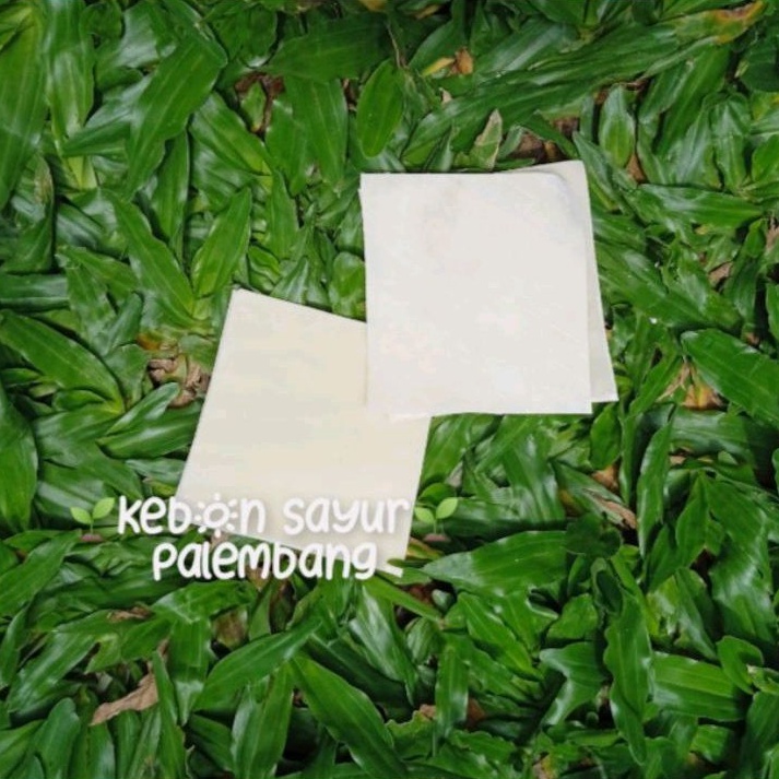 

kulit pangsit siap pakai