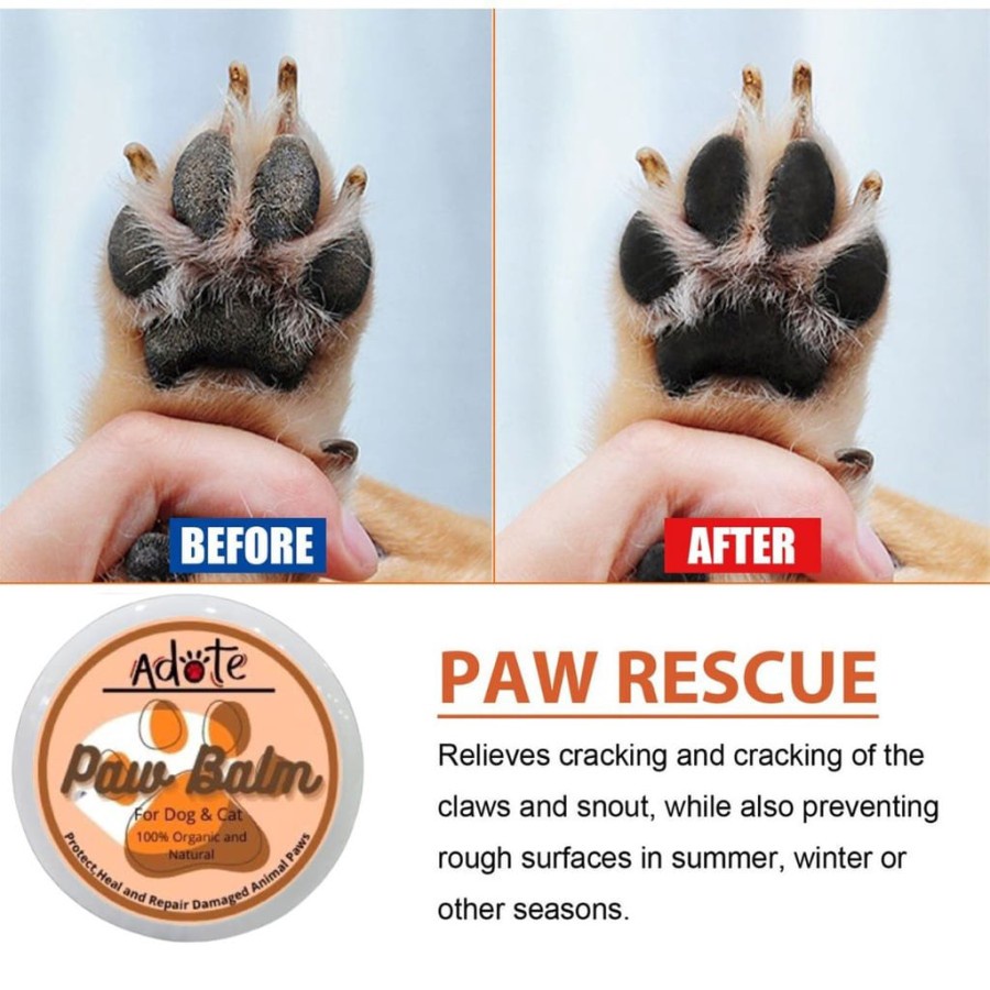 PAW BALM for Cat &amp; Dog 5gr - Krim Pelembab Telapak Kaki Kucing Anjing