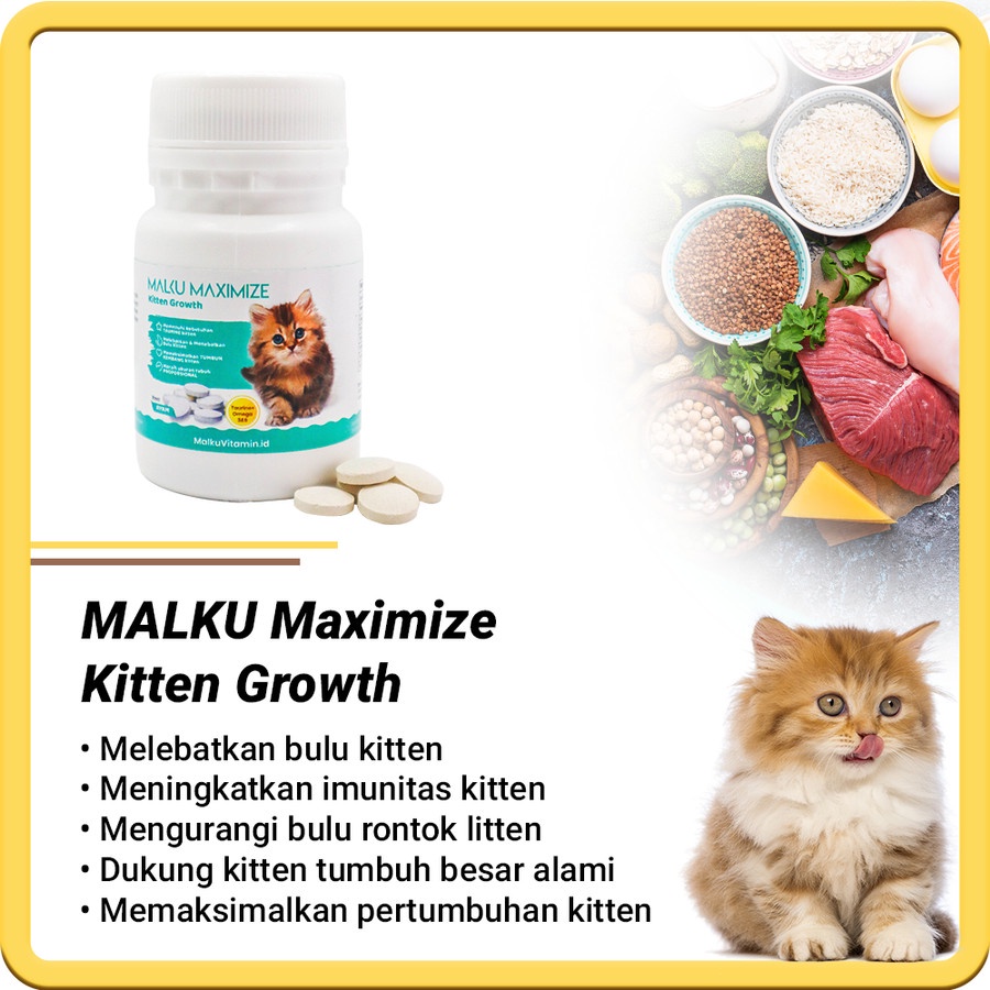 MALKU Maximize Kitten Growth Vitamin Pertumbuhan Kitten