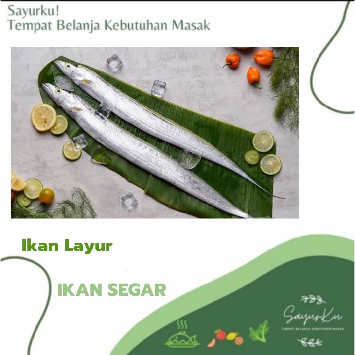 

ikan layur fresh
